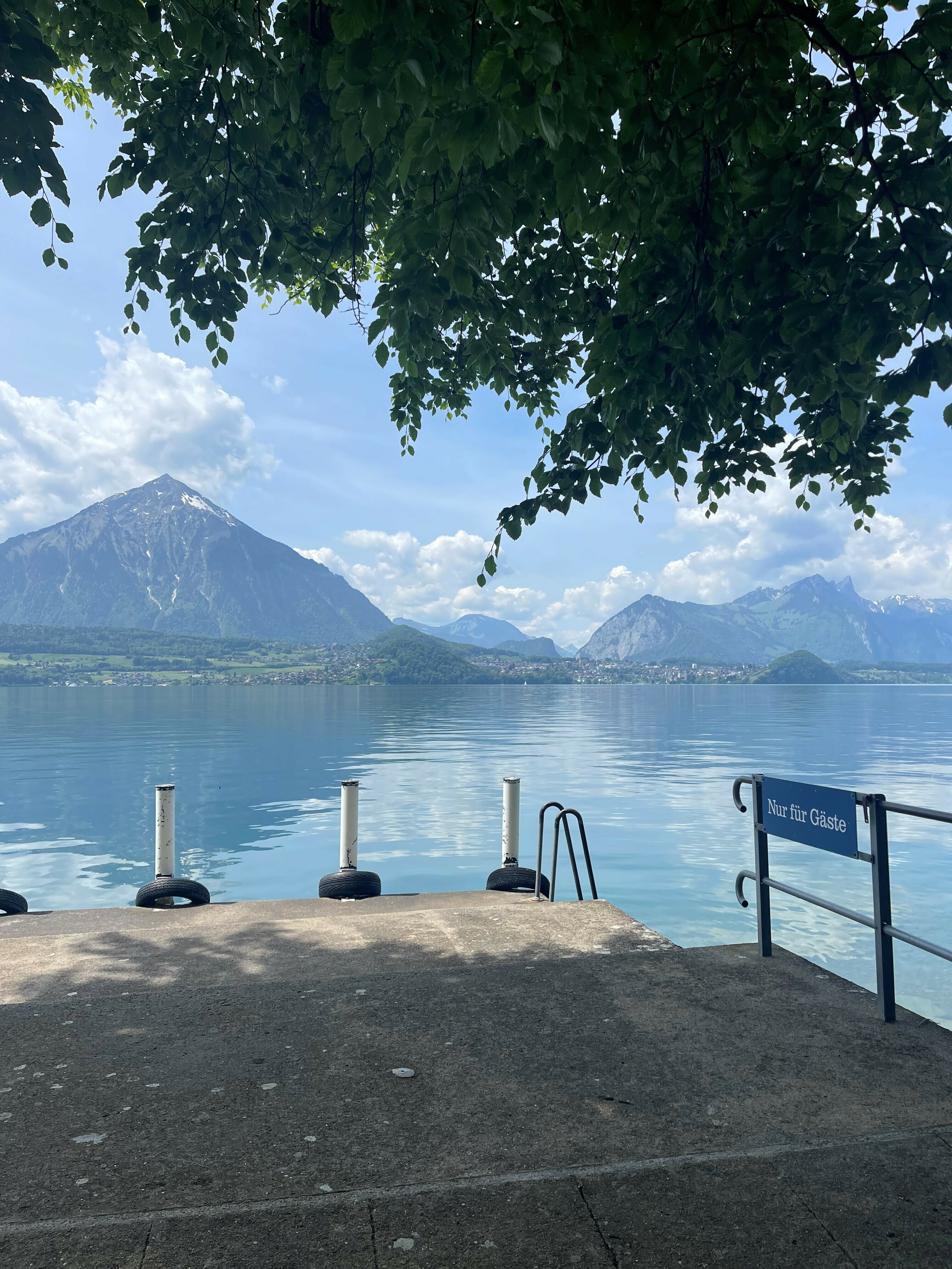 Eisbaden im magischen Thunersee mit Martha