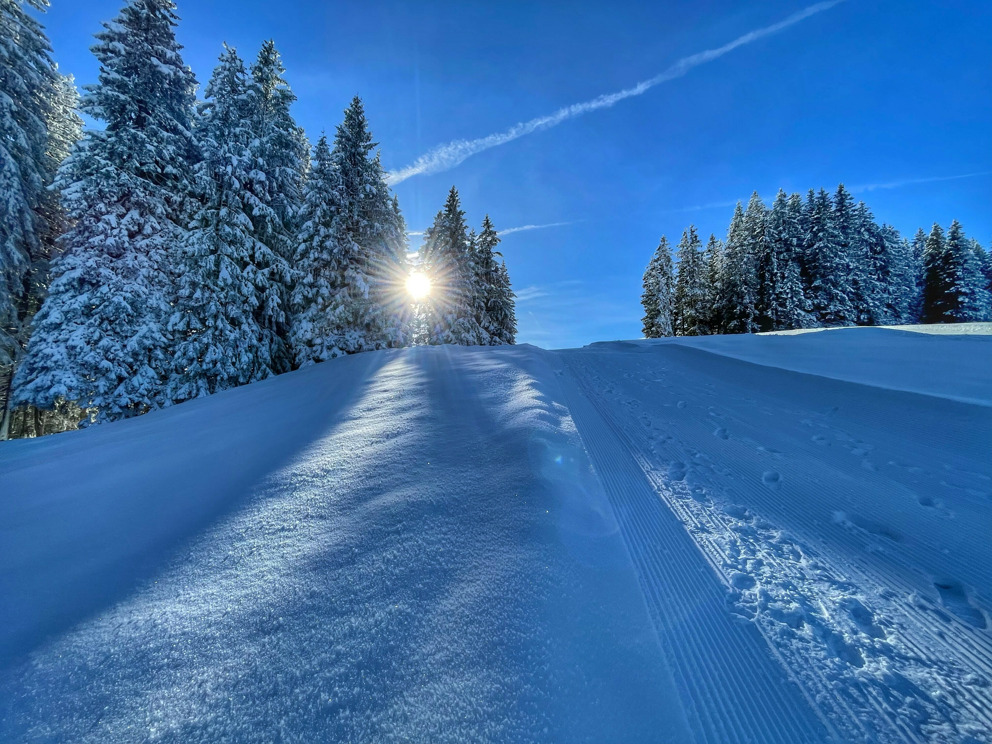 Christian nimmt Sie mit auf eine kleinere Schneeschuhwanderung