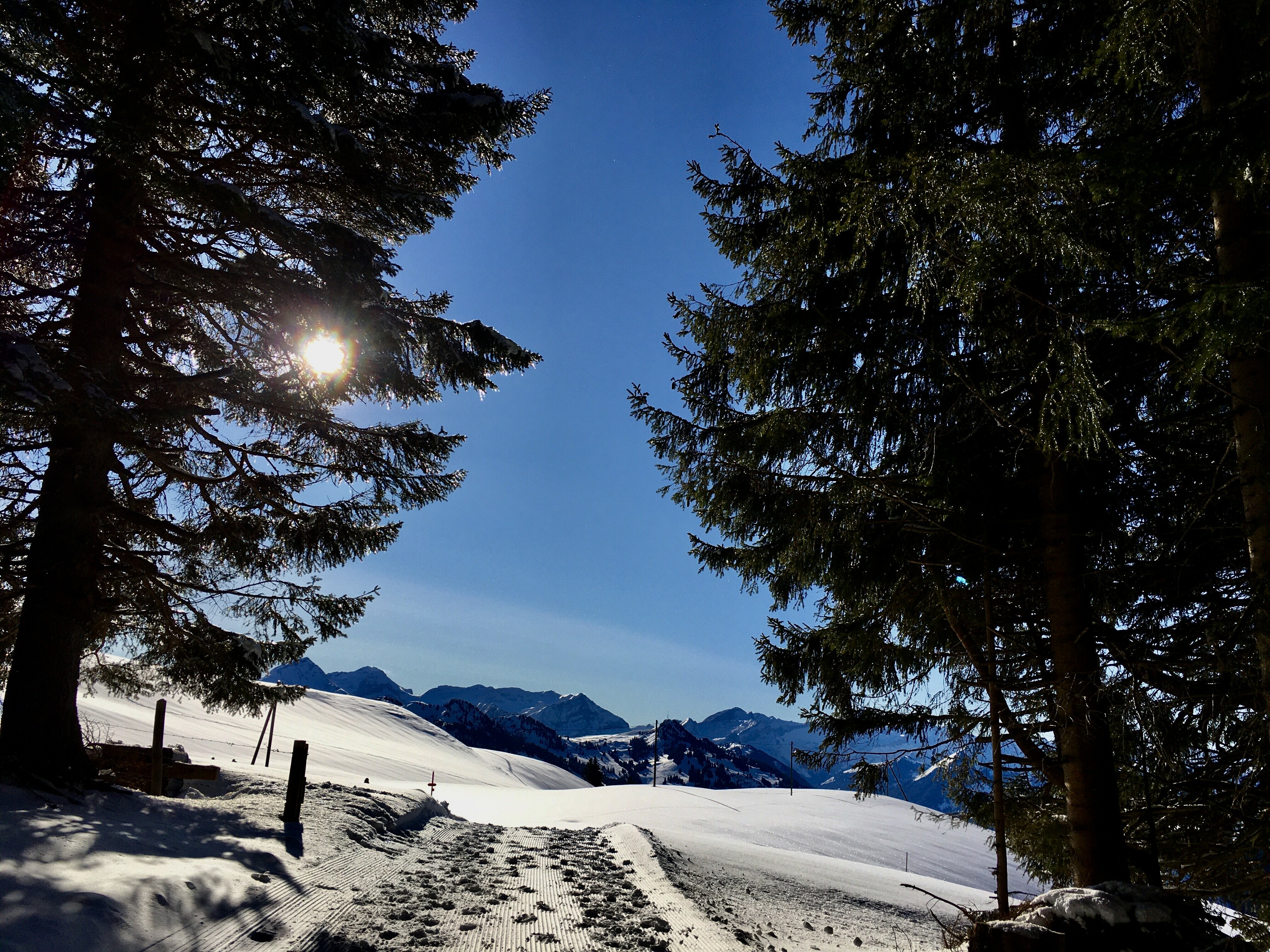 Randonnée avec Ruth sur le haut-plateau de Sparenmoos