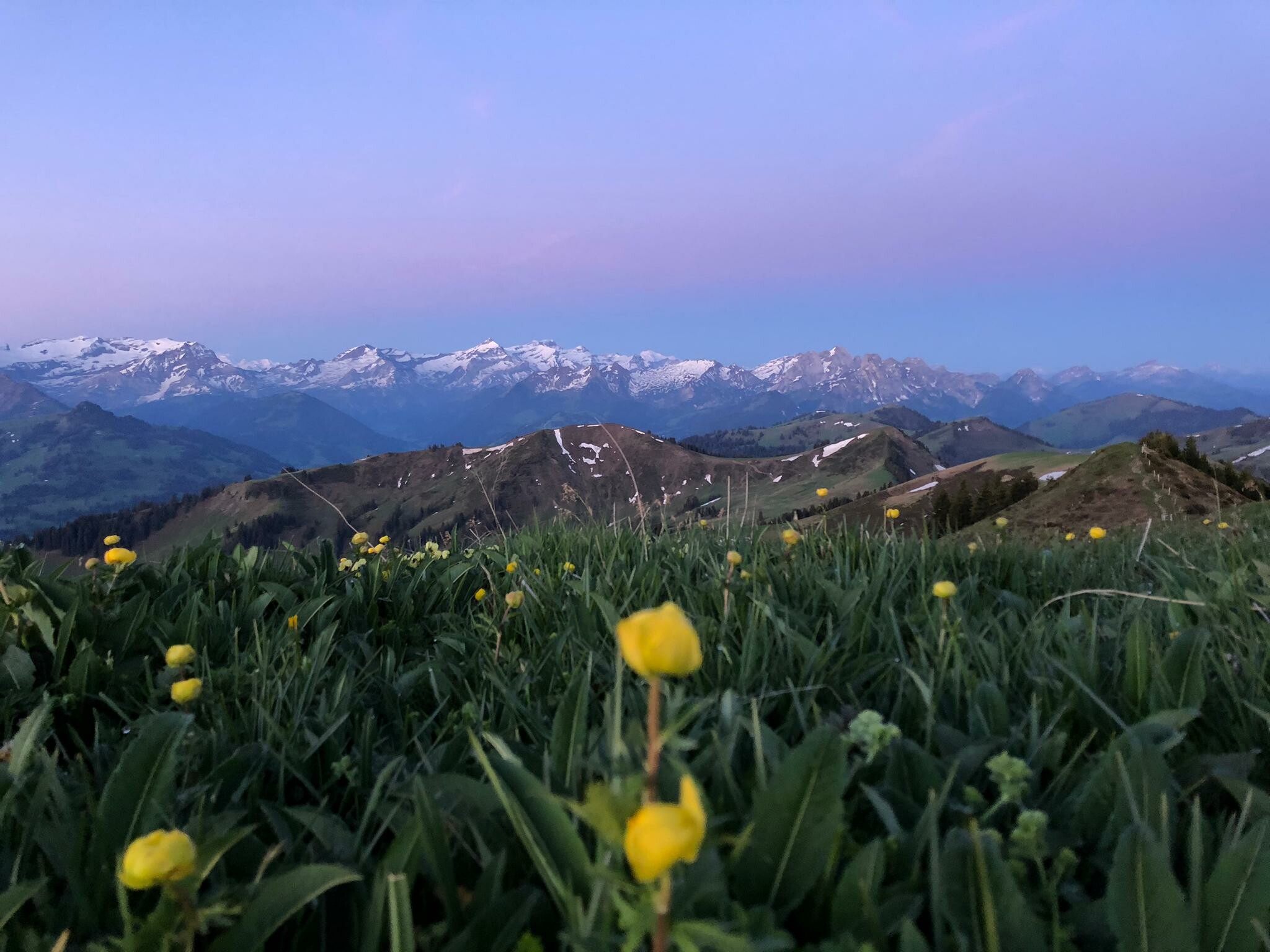 Wanderung mit Christian auf der Hochebene von Sparenmoos oberhalb von Zweisimmen