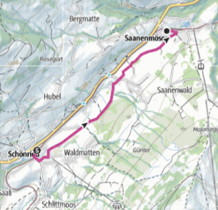 Kleine Wanderung mit Gaby von Saanenmöser