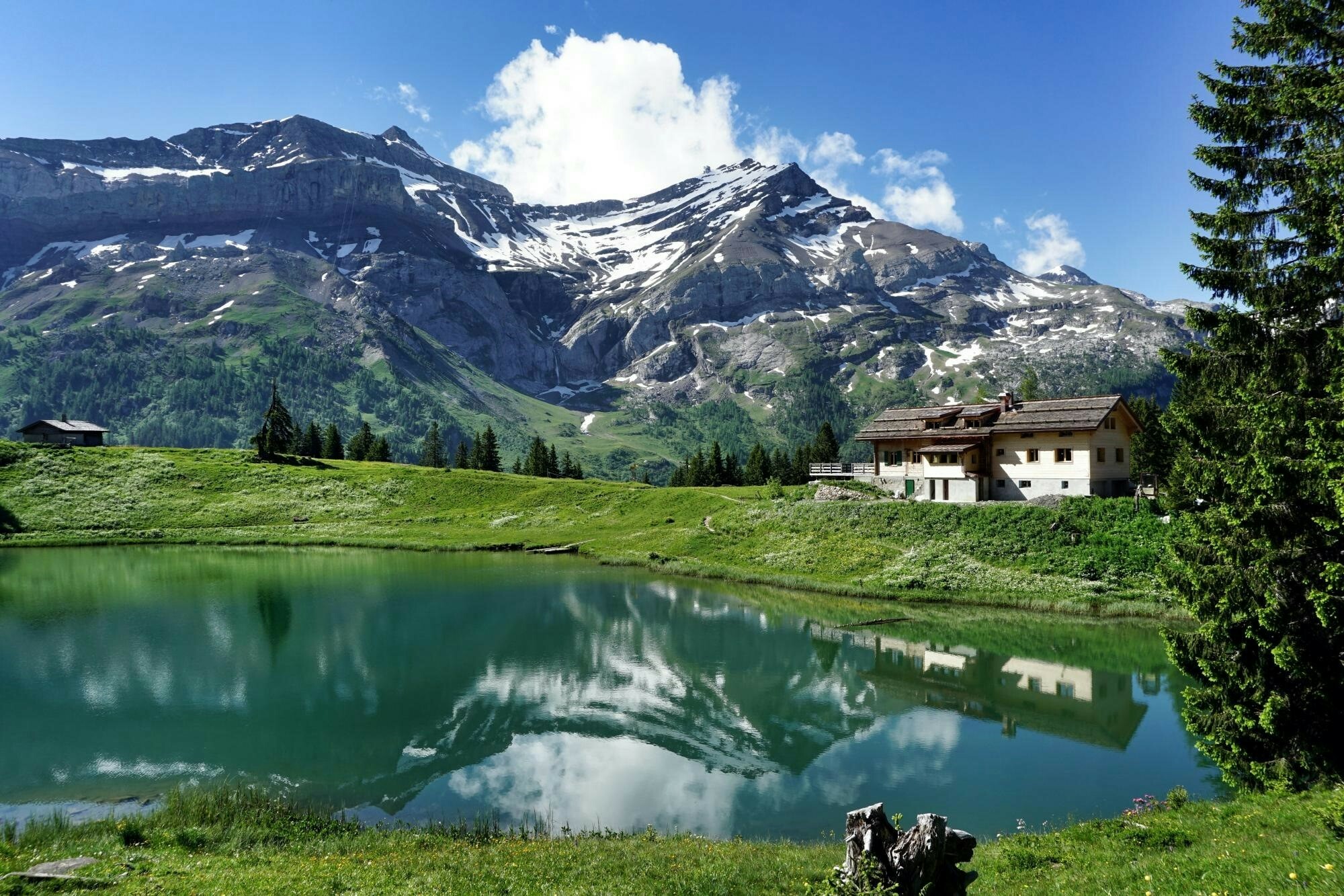 Wanderung mit Gaby vom Col du Pillon