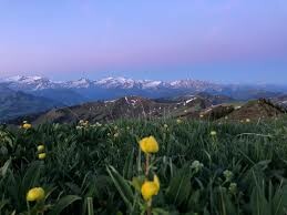 Wanderung mit Ruth vom Sparenmoos oberhalb Zweisimmen