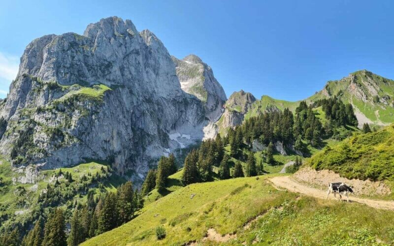 Bergwanderung mit Gaby von der Videmanette