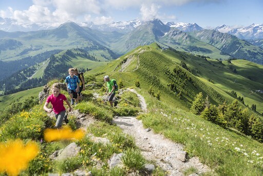 Wanderung mit Gaby von der Oeschseite via Hohlaas und Heimchueweid hinunter nach Zweisimmen