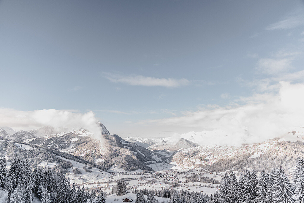 Panoramarundwanderung mit Gaby auf dem Hornberg