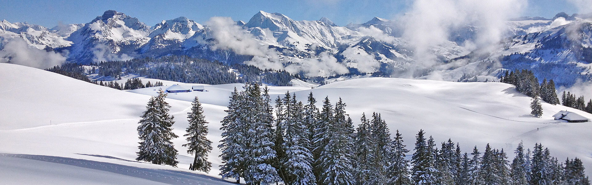 Panoramawanderung mit Ruth im Gebiet Sparenmoos—Hüsliberg—Sitealp
