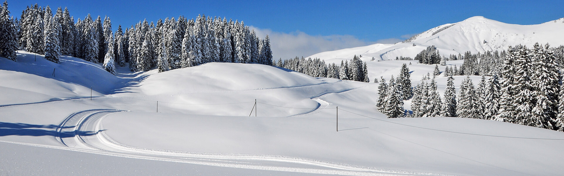 Randonnée avec Ruth dans la région de Sparenmoos—Hüsliberg—Sitealp