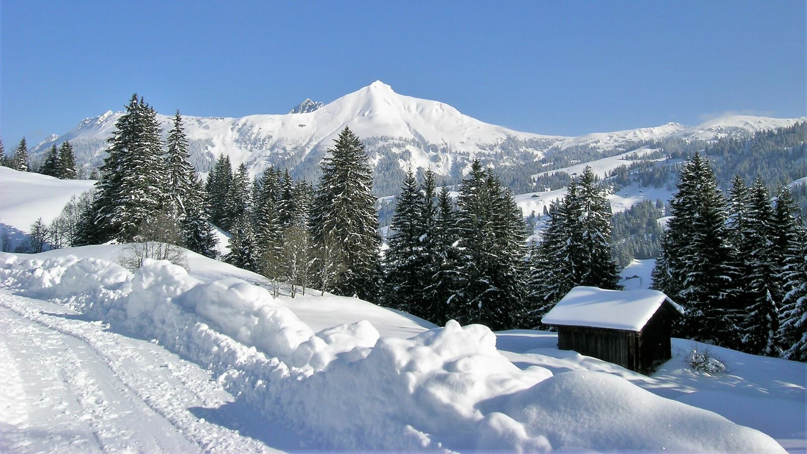 Schneeschuhwanderung mit Christian